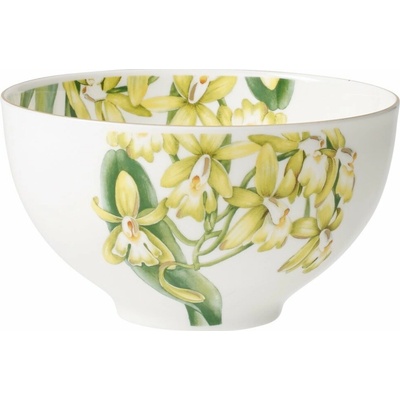 Villeroy & Boch Miska Amazonia porcelán 400 ml