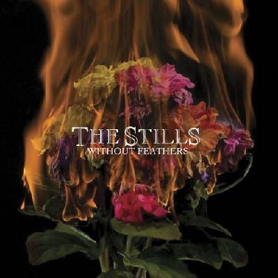 Stills - Without Feathers CD