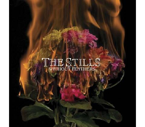 Stills - Without Feathers CD
