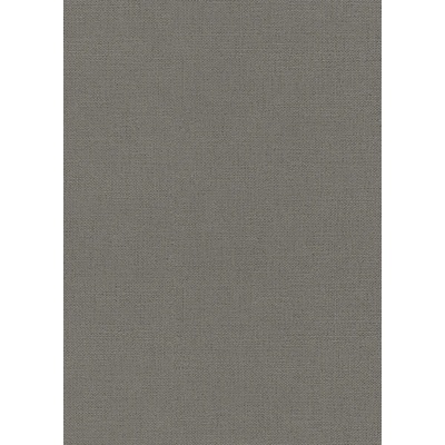 DIMEX WPE-902295 Vliesová tapeta na stenu, rozměry 0,53 x 10,05 m