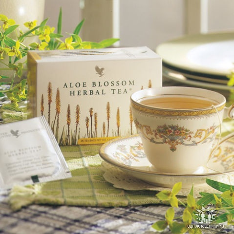 Forever Living Aloe Blossom Herbal Tea – 4 Boxes, 25 Bags Each, Cinnamon Flavor, Caffeine Free, Exp 2025