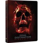 MagicBox Nezvratný osud: Pokrevní linie (Steelbook - Alt Skull) - 2Blu-ray (4K Ultra HD) (084664)