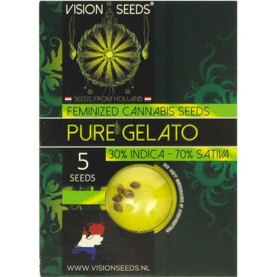 Vision Seeds Pure Gelato semienka neobsahujú THC 5 ks