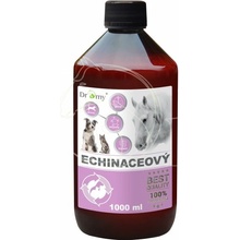 Dromy Echinaceový sirup 1 l