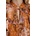 Desigual Риза Desigual ROMANTICA (25WWBW08)