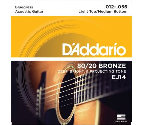 DAddario EJ14