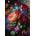 Alipson Puzzle - Puzzle Passion - 1 000 piese