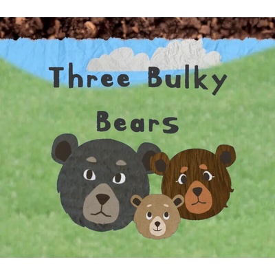 Three Bulky Bears