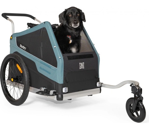 Burley Bark Ranger Dog