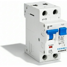 Schrack 10A/B 30mA 10kA BO618610