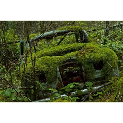 Dimex MS-5-2724 Vliesová fototapeta Auto pokryté mechem rozměry 375 x 250 cm