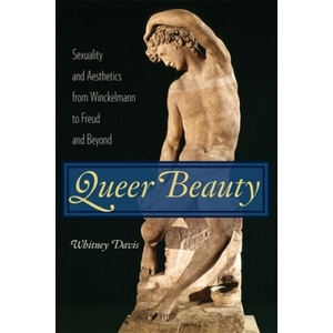 Queer Beauty | W Davis (ISBN: 9780231146906)