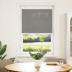 vidaXL Плисирана щора Антрацит 70x100 cm Ширина на плата 69, 4 cm (4015069)