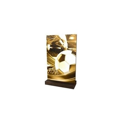 Poháry Bauer Dřevěná plaketa WPLAR01M01 Fotbal