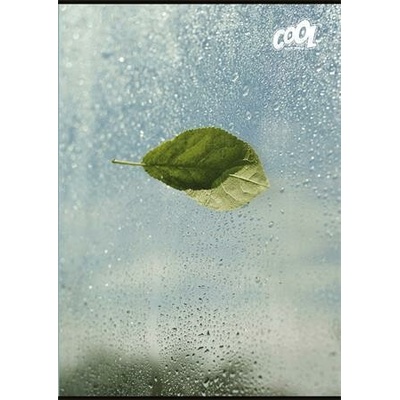 COOL BY VICTORIA Sešit Green Calm mix motivů A4 čistý