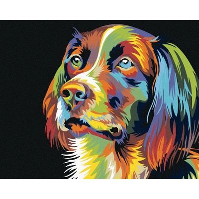 zuty Malování podle čísel Pes 50 x 40 cm vypnuté plátno na rám 8596530008057