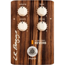 L.R.Baggs Reverb