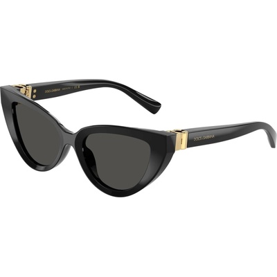 Dolce & Gabbana DG4497 501 87
