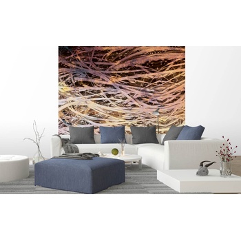 DIMEX ART s. r. o Флизелинов фототапет абстрактно сено i 225 x 250 см