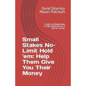 Small Stakes No-Limit Hold 'em | David Sklansky (2023)