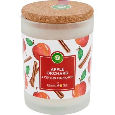 Air Wick Essentials Oils Apple Orchard & Ceylon Cinnamon 185 g