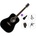 Pasadena PD-350 Premium SET Black Акустична китара