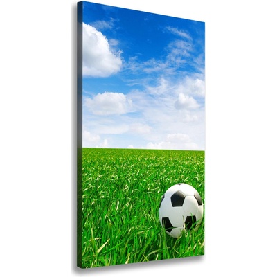 Vertikálny foto obraz na plátne Futbal na lúke 50x100 cm