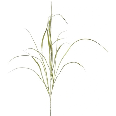 Gasper Tráva zeleno-strieborná 106 cm