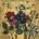 WICKHAM, STEVE - BEEKEEPER CD