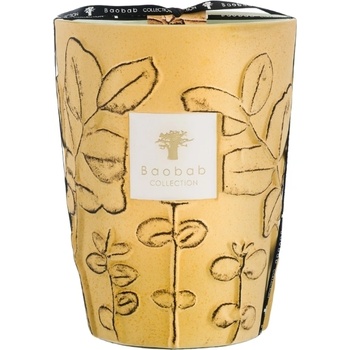 Baobab Collection Folia Garrigue Ароматна свещ, 24 см (MAX24FGAR)