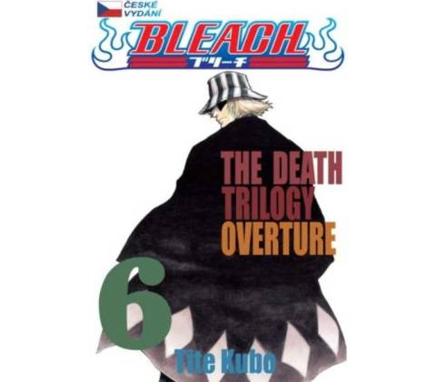 Bleach 6