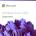 Microsoft Windows Server 2022 Datacenter 2 Core Subscription (1 Year) (DG7GMGF0D65N-0007_P1YP1Y)