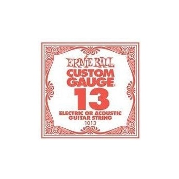 Ernie Ball 1013