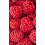 DIMEX ART Флизелинов фототапет малини 150 x 250 см