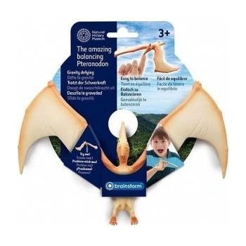 MG Home Balancing pteranodon