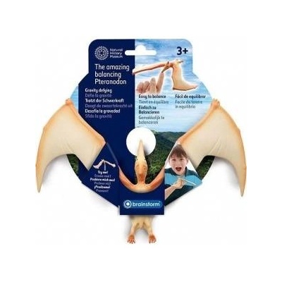 MG Home Balancing pteranodon