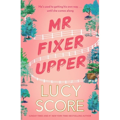 Mr Fixer Upper: the new romance from the bestselling Tiktok sensation! - Lucy Score