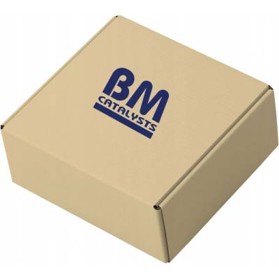 BM Catalysts BM91351H