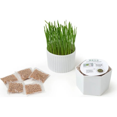 Трева за котки - саксия, с 5 пакетчета семена