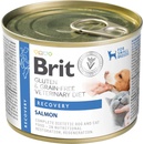 Brit VD Dog+Cat GF Recovery 200 g