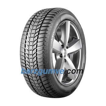 Sava Eskimo HP2 ( 225/45 R18 95V XL, (MFS) )