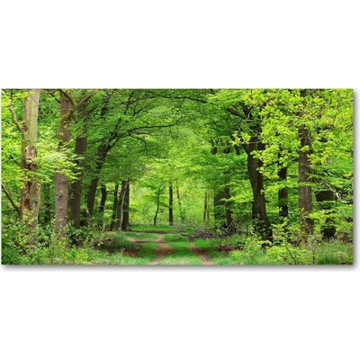 Foto obraz sklenený horizontálny jarná les 100x50 cm