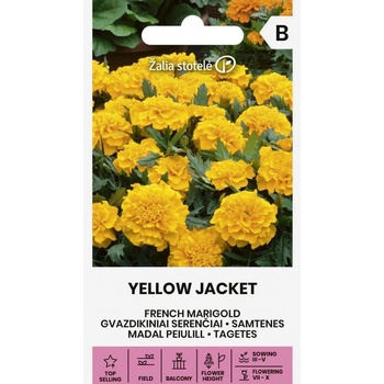Seklos Тагетес Йелоу Джакет / Tagetes patula Yellow Jacket