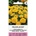 Seklos Тагетес Йелоу Джакет Tagetes patula Yellow Jacket