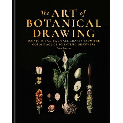 The Art of Botanical Drawing - Anna Laurent