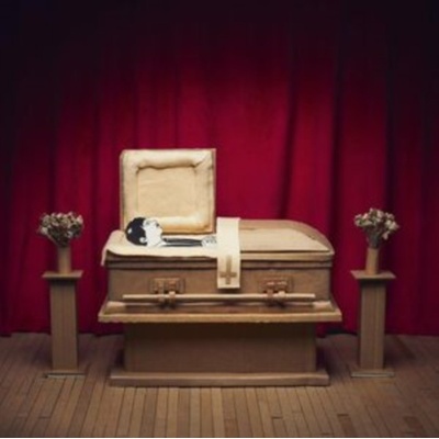 No thanks - Gregory Pepper & His Problems LP