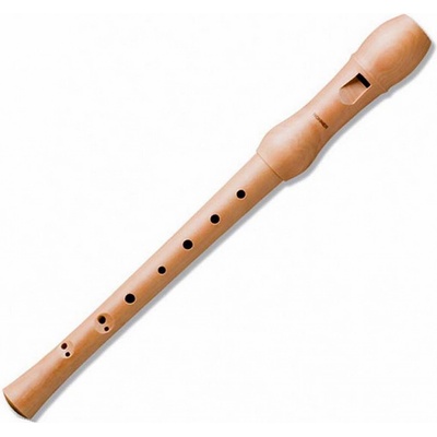 Hohner B9560