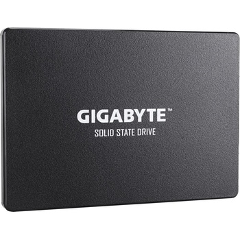 Gigabyte 256GB, SSD, GP-GSTFS31256GTND