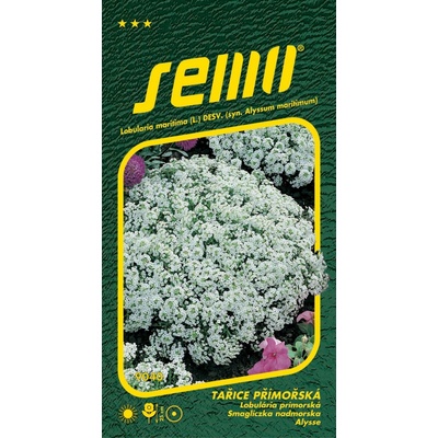 Semo Tařice přímořská - Corbielle d´argent bílá 0,6g
