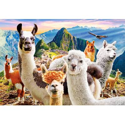 Castorland Lamí selfíčko 1000 dílků